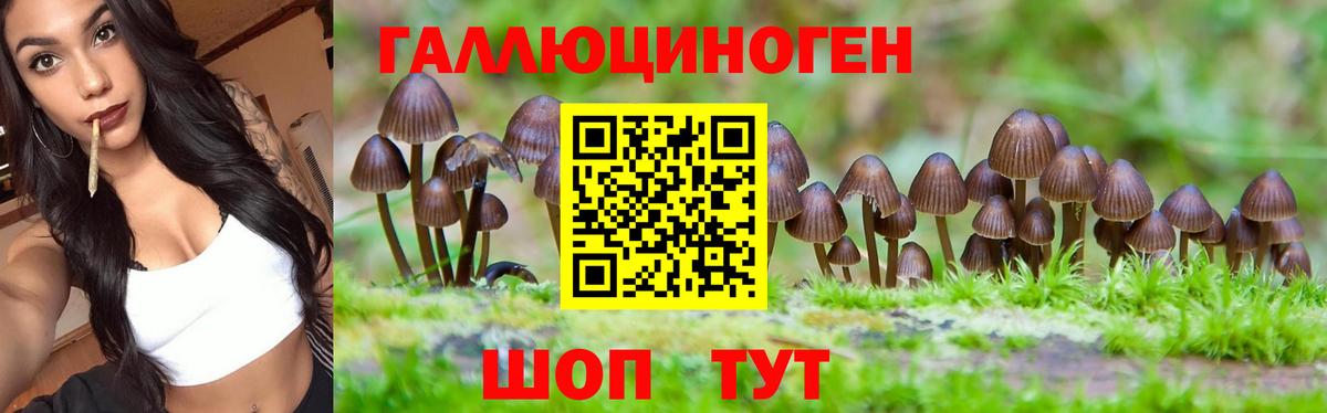Галлюциногенные грибы Magic Shrooms  Вход с VPN  Иркутск 